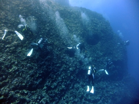 サイパン ダイビングライセンス