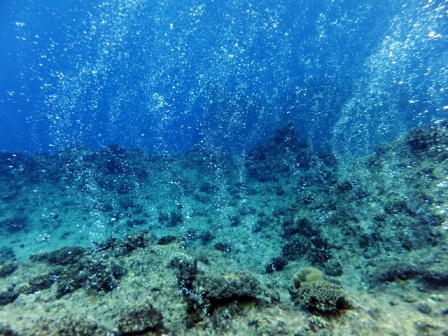 サイパン 体験ダイビング