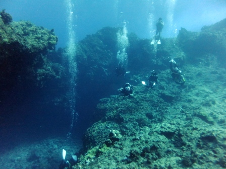 サイパン ダイビングライセンス