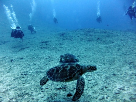 サイパン ダイビング