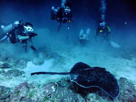 サイパン ダイビングライセンス