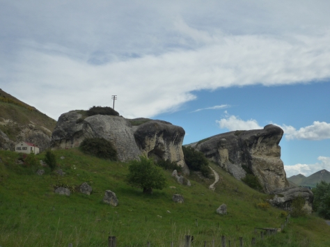 ハンマースプリングス道中カエル岩