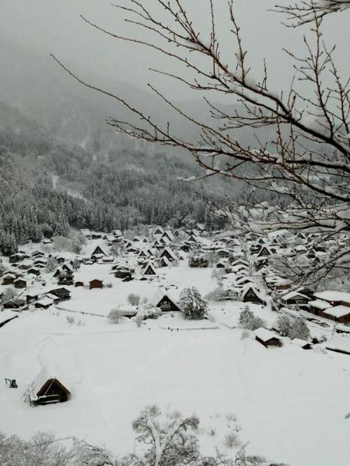 卒業旅行や春休みは世界遺産 白川郷へ7