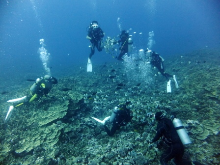 サイパン ダイビングライセンス