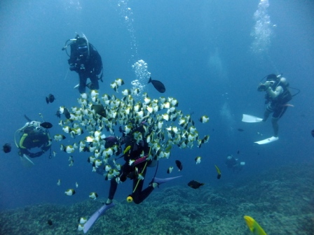 サイパン 体験ダイビング