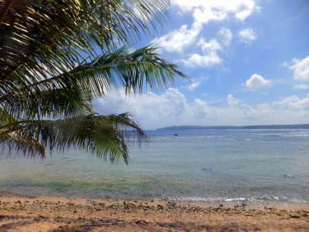 サイパン ダイビングショップ