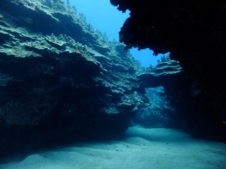 サイパン ダイビング