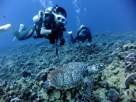 サイパン ダイビングライセンス