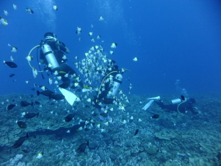 サイパン ダイビング