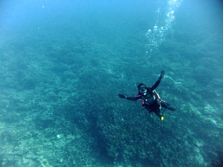 サイパン ダイビングショップ