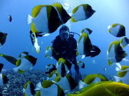 サイパン 体験ダイビング