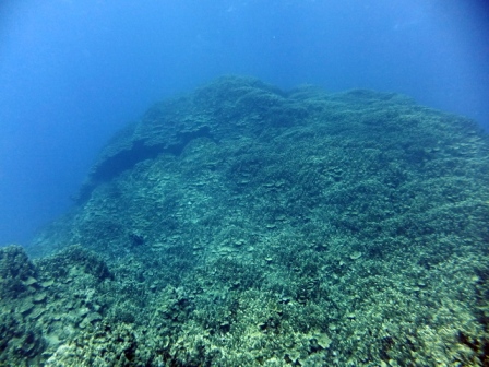 サイパン ダイビング