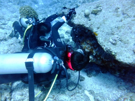 サイパン 体験ダイビング