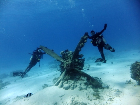 サイパン ダイビングショップ