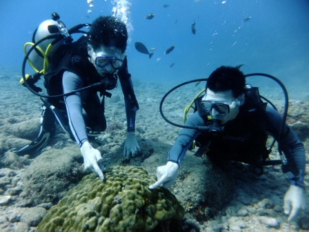 サイパン 体験ダイビング