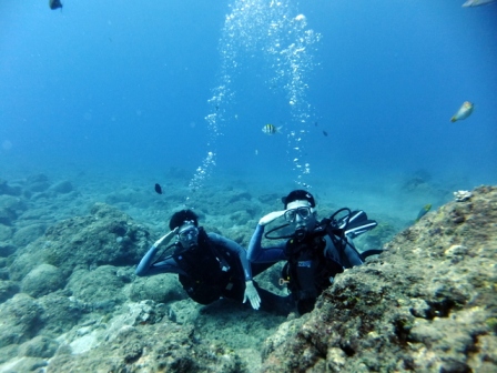 サイパン ダイビングライセンス