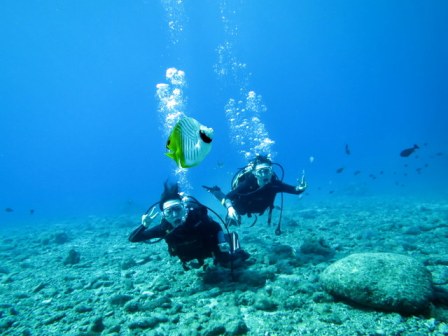 サイパン 体験ダイビング