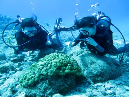 サイパン ダイビングライセンス