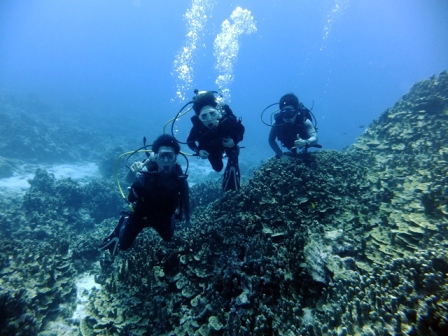 サイパン ダイビングライセンス