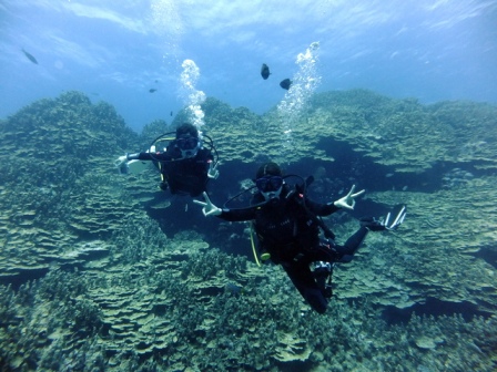 サイパン ダイビング
