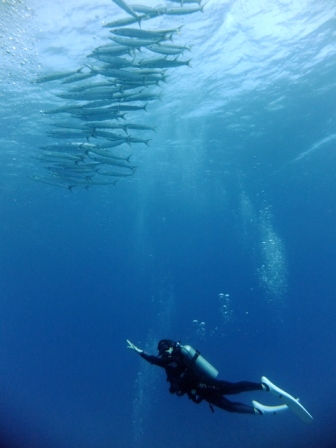 サイパン ダイビング