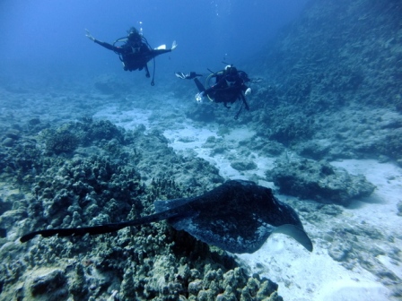 サイパン 体験ダイビング