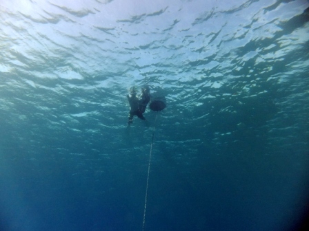 サイパン ダイビング