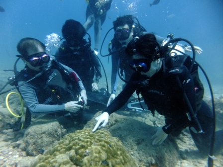 サイパン 体験ダイビング