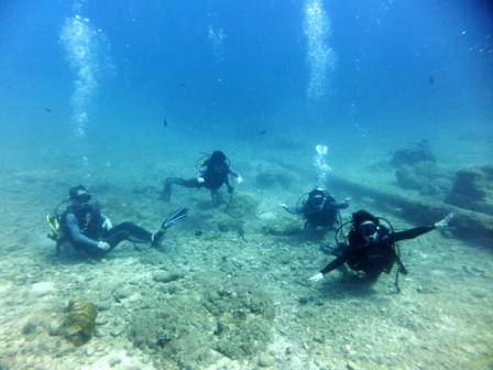 サイパン ダイビングライセンス