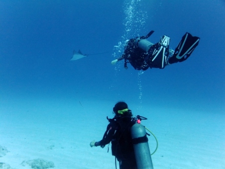 サイパン ダイビング