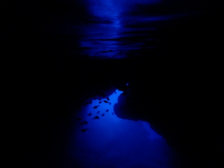 サイパン ダイビングライセンス