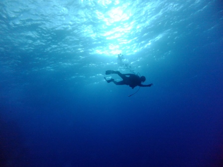 サイパン ダイビング