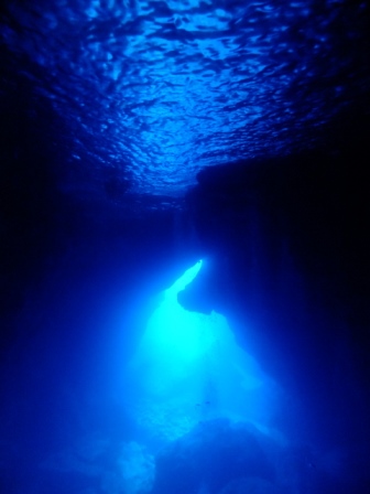 サイパン ダイビング ライセンス