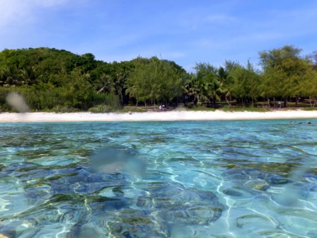 サイパン ダイビング