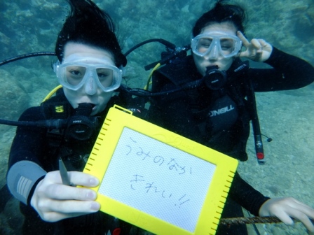 サイパン ダイビング ライセンス