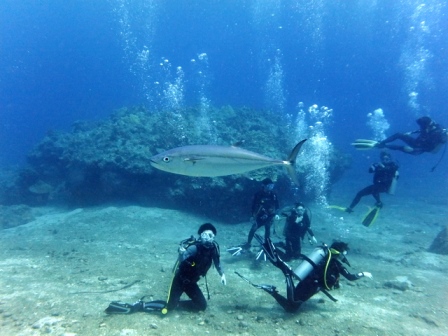 サイパン 体験ダイビング