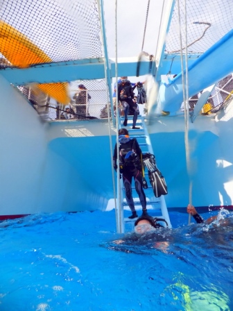 サイパン ダイビングショップ