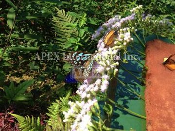 クワンシー・バタフライ・パーク