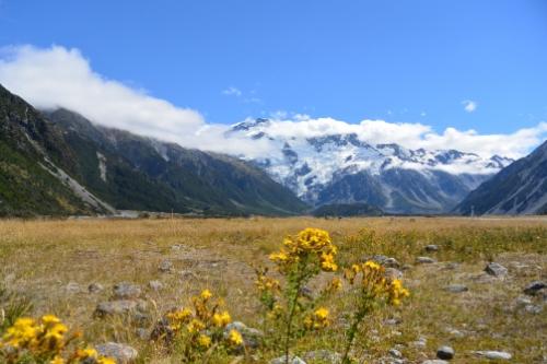 Mtcook-3
