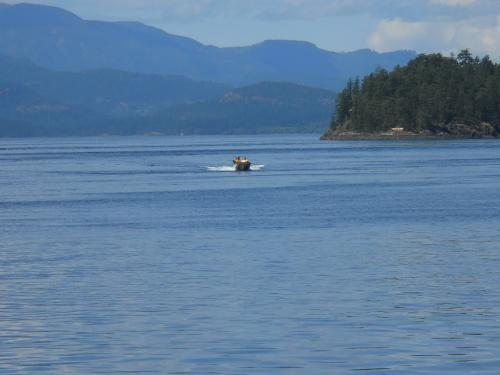 サーモンフィッシング