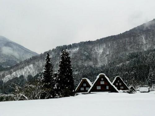 まだまだ雪景色を満喫できる白川郷に４