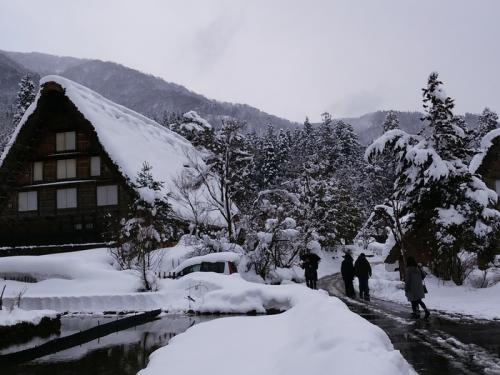 まだまだ雪景色を満喫できる白川郷に８