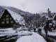 まだまだ雪景色を満喫できる白川郷に8