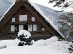 白川郷は季節の歩みがいったん足踏み５