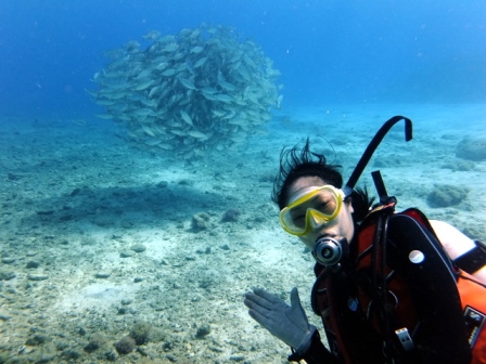 サイパン ダイビング ライセンス