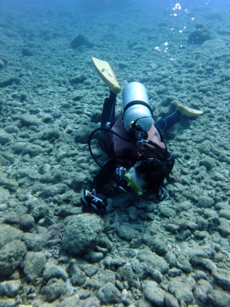 サイパン 体験ダイビング