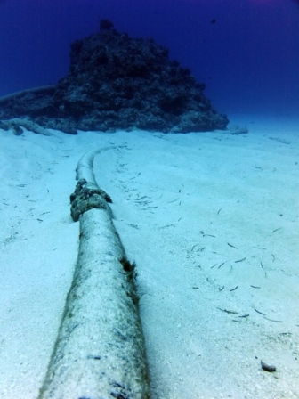 サイパン ダイビング ライセンス