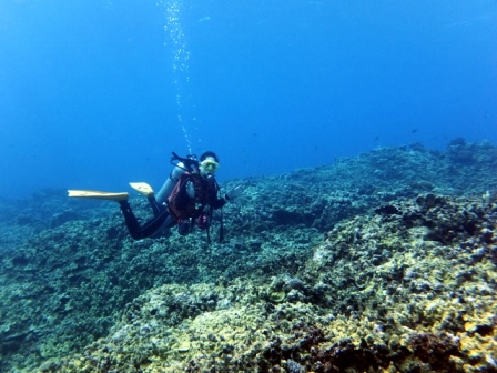 サイパン ダイビングショップ