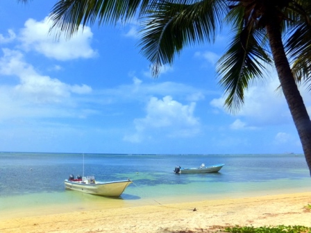 サイパン ダイビング