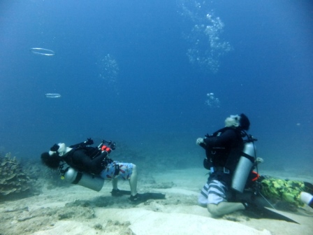 サイパン 体験ダイビング